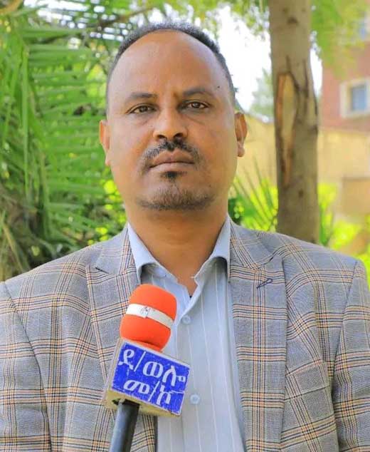 የደቡብ ወሎ ዞን ከተማ ልማት